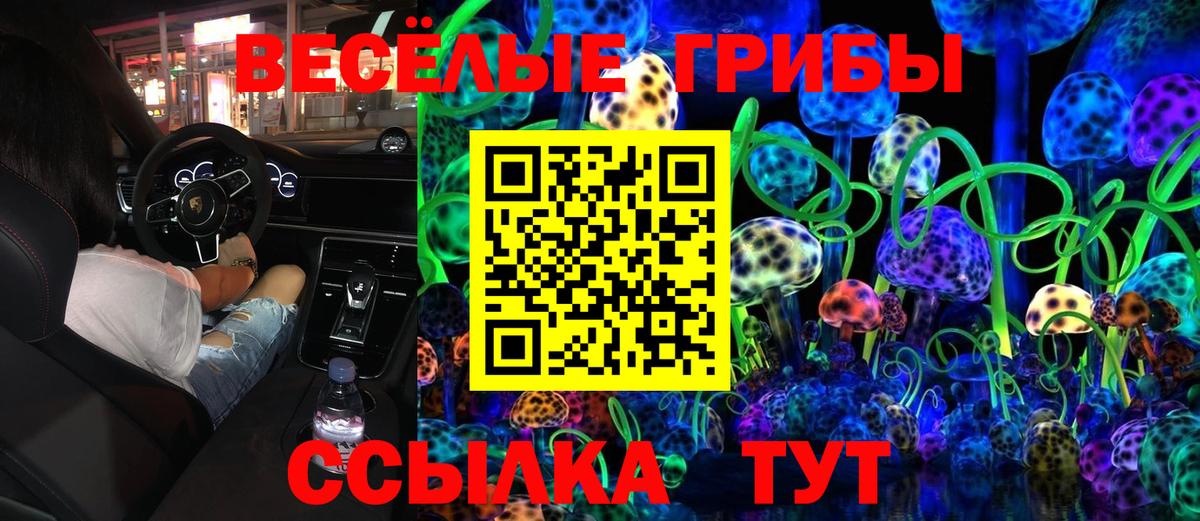 Псилоцибиновые грибы MAGIC MUSHROOMS  Псилоцибиновые грибы Psilocybe  Вход с VPN  Комсомольск-на-Амуре 
